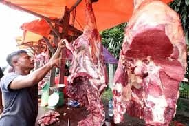 Proses pemotongan daging sapi dan kambing
